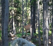 Backpacking 06 319